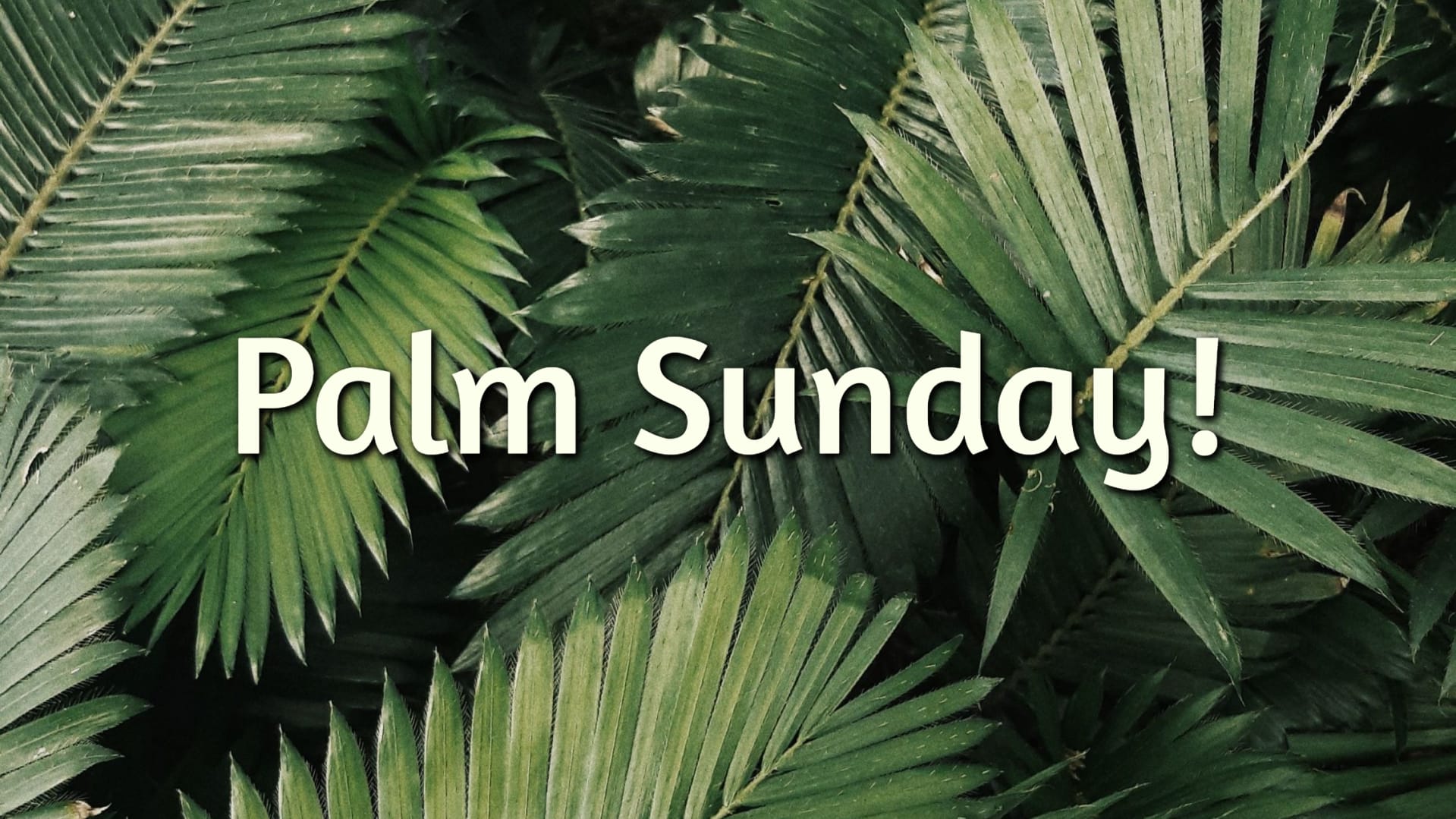 Palm Sunday! (Mar. 24/24)