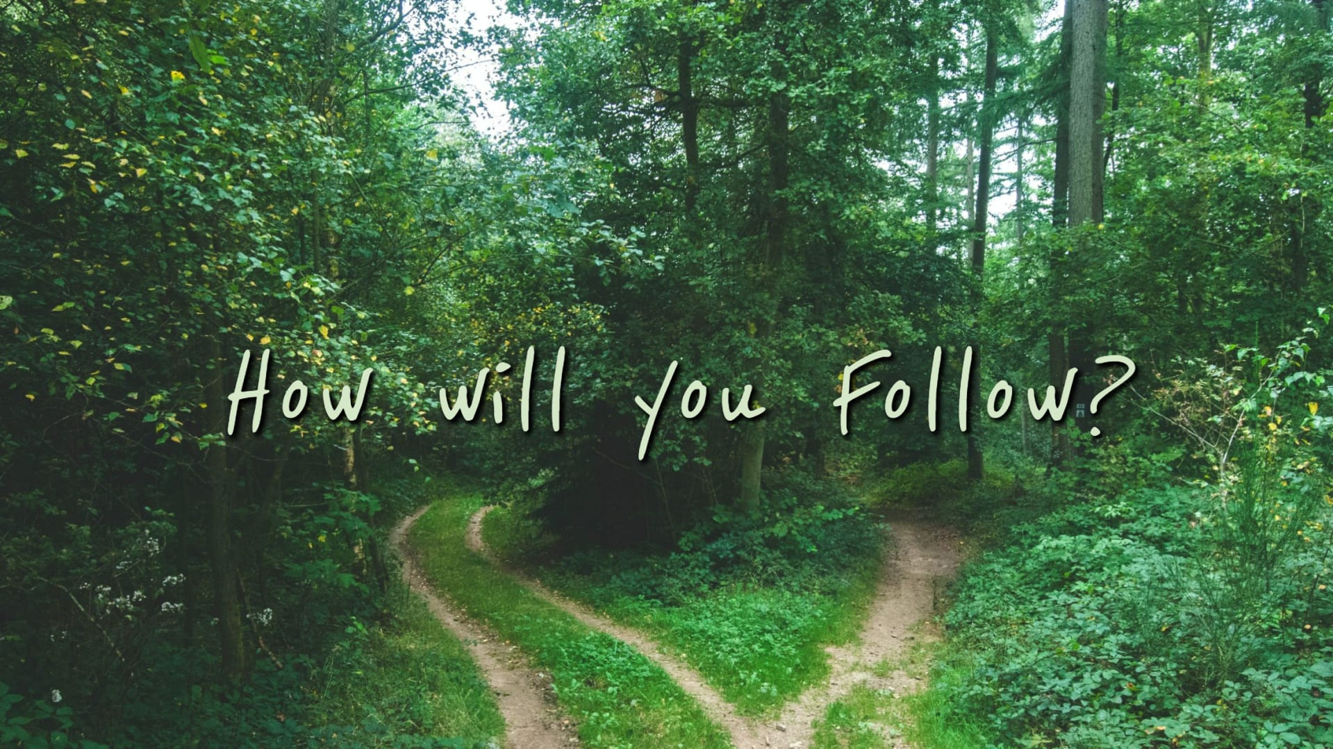 Series: <span>How Will You Follow? (July 7-21/24)</span>